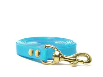 Biothane_tracking_leash_riveted_16-19mm_brass_snap_hook_turquoise_small_web