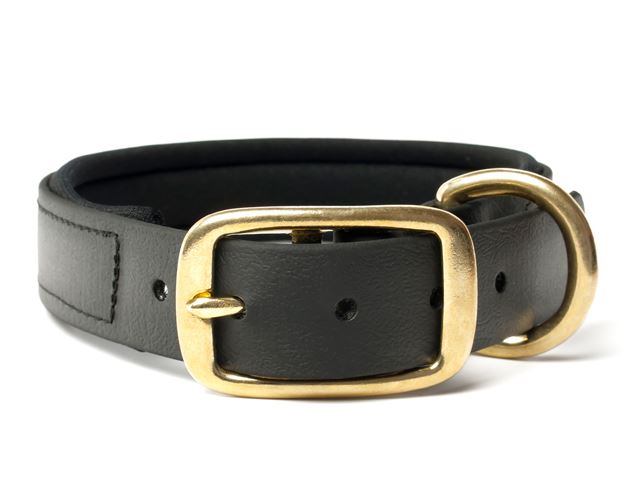 Biothane_collar_deluxe_brass_neopren_black_small_web