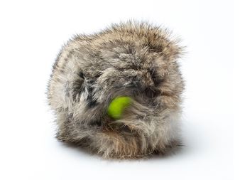 Rabbit &quot;Cover&quot; with tennis ball