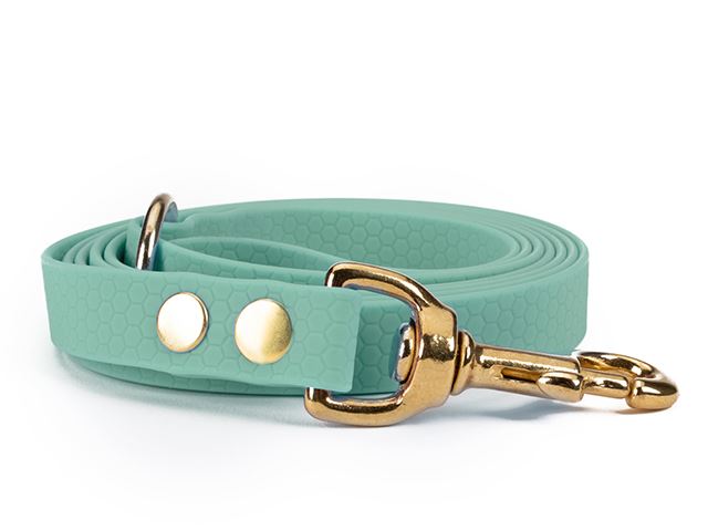 Hexa_leash_16_19mm_brass_riveted_baby_blue_small_web