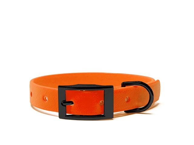 Biothane_collar_25mm_black_deluxe_neon_orange_big_web