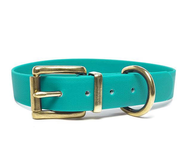 Biothane_collar_classic_brass_light_green_small_web