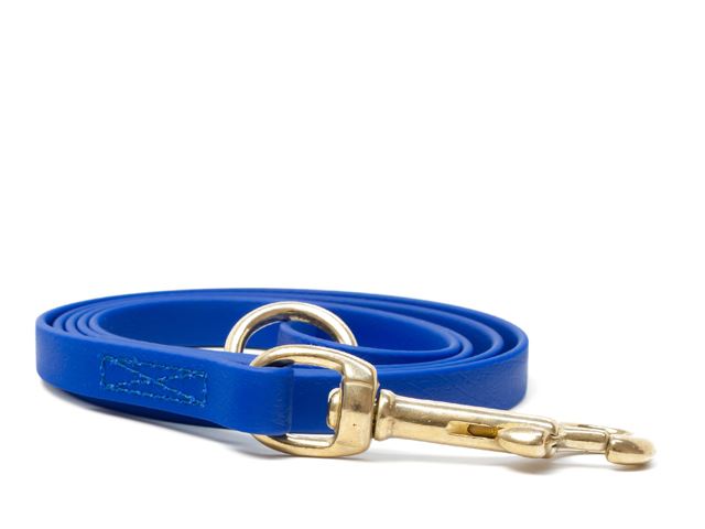 Biothane_leash_9_13mm_sewn_blue_brass_snap_hook_small_web