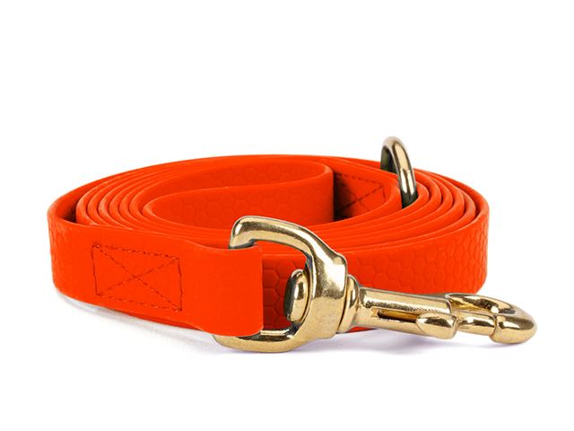 Hexa_leash_16_19mm_sewn_solid_brass_neon_orange_small_web
