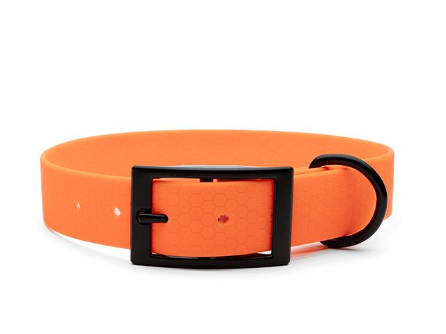 Hexa_collar_black_deluxe_neon orange_small_web