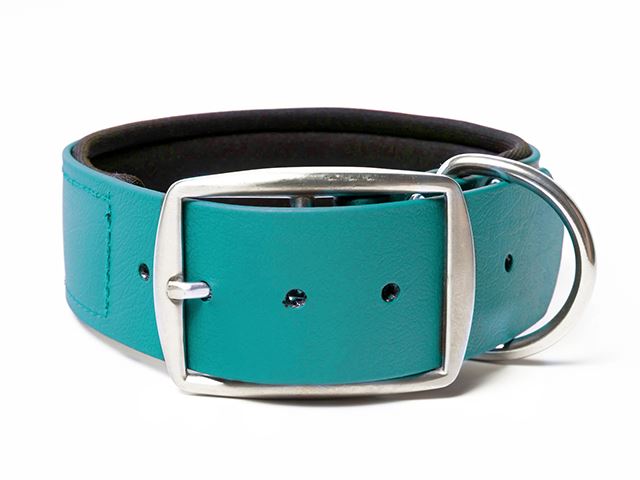 Biothane_collar_38mm_deluxe_neopren_light_green_small_web