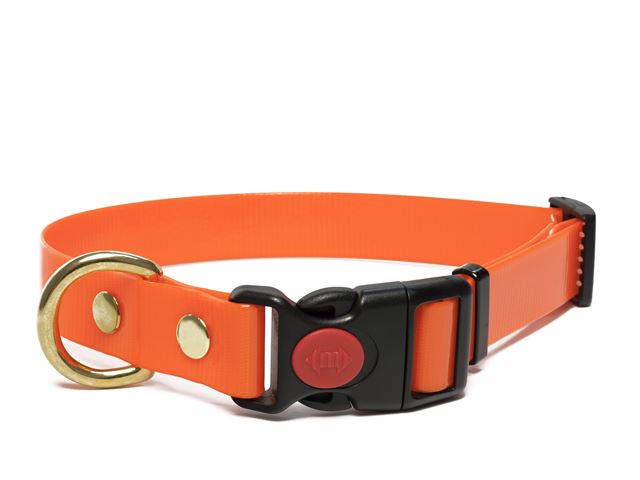 Biothane_collar_safety_click_solid_brass_gold_orange_small_web