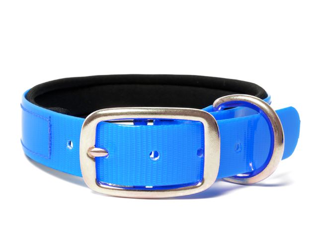 Biothane_collar_deluxe_brass_neopren_gold_light_blue_small_web
