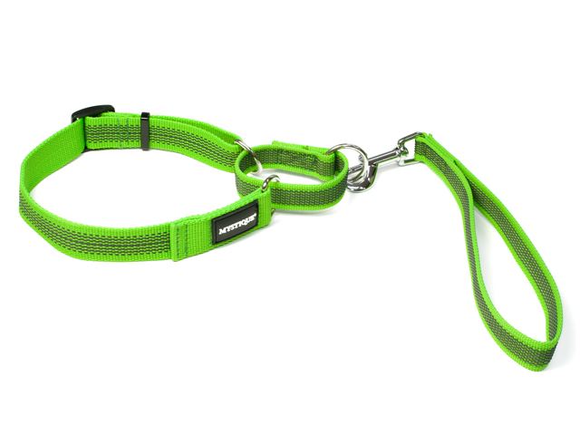 Rubbered_agility_leash_neon_green_small_web