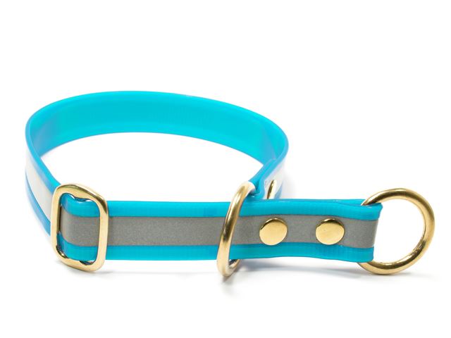 Biothane_half_choke_collar_solid_brass_reflex_turquoise_small_web