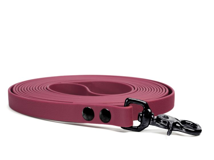 Biothane_tracking_leash_19mm_revited_winered_black_trigger_big_web