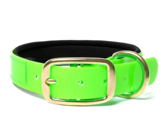 Biothane_collar_deluxe_brass_neopren_gold_light_green_small_web
