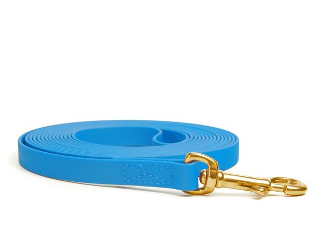 Biothane_tracking_leash_sewn_light_blue_brass_snap_hook_small_web