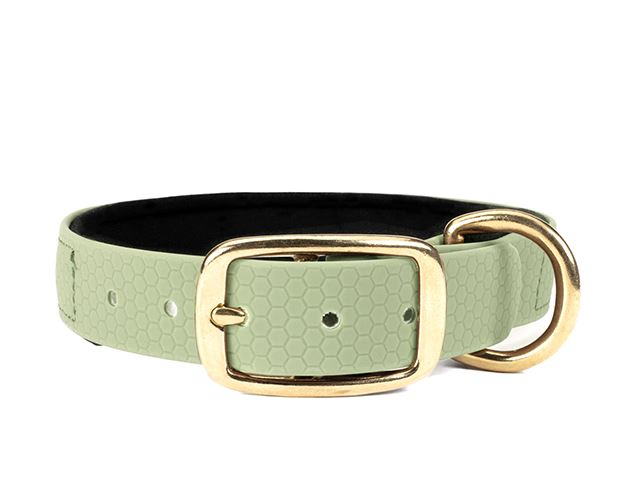 Hexa_collar_brass_deluxe_mint_neoprene_small_web