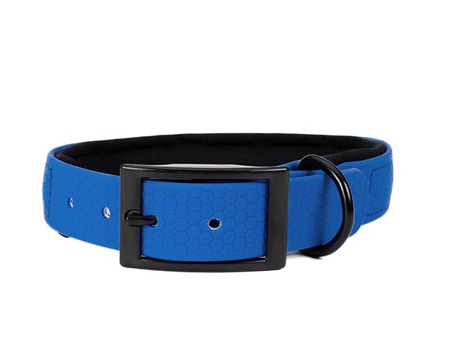 Hexa_collar_black_deluxe_blue_neoprene_small_web