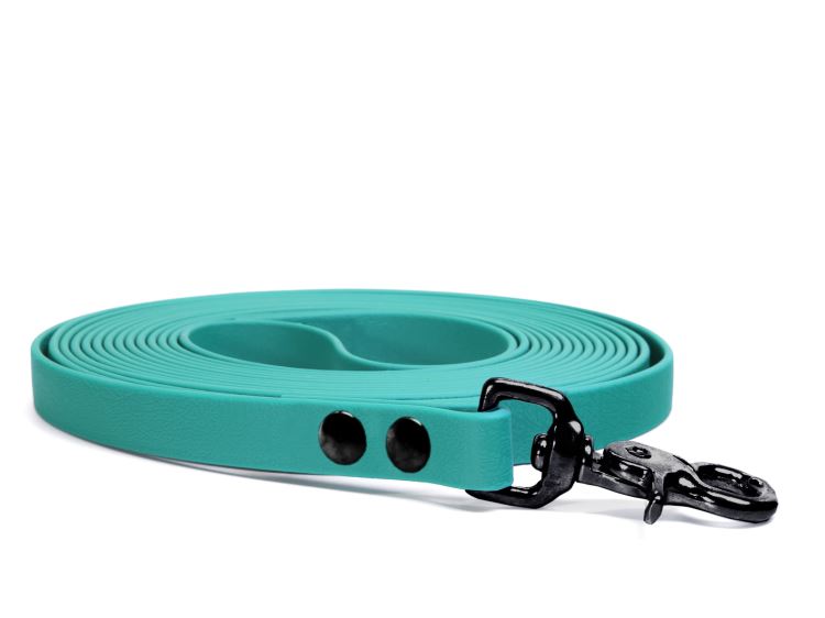 Biothane_tracking_leash_19mm_revited_light_green_black_trigger_big_web