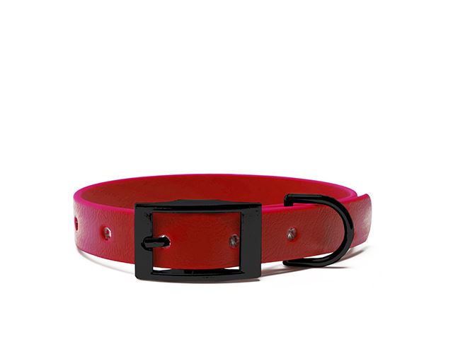 Biothane_collar_25mm_black_deluxe_red_big_web