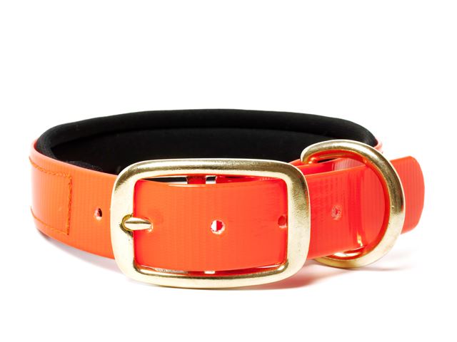 Biothane_collar_deluxe_brass_neopren_gold_orange_small_web