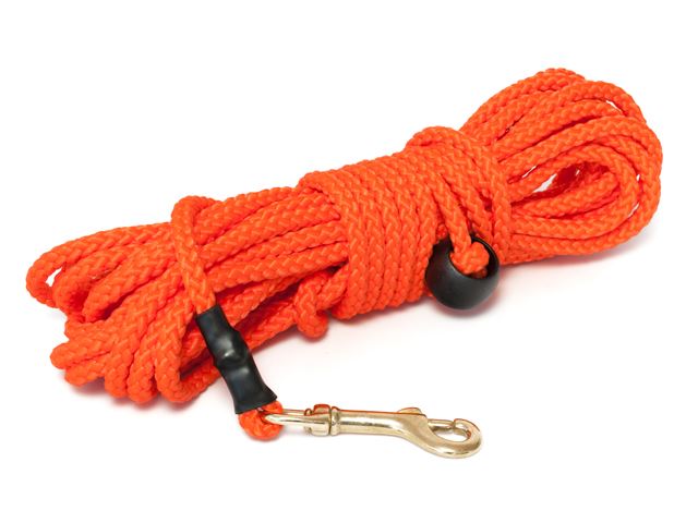 Nylon_tracking_leash_round_neon_orange_brass_snap_hook_small_web
