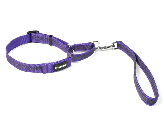 Rubbered_agility_leash_lila_small_web