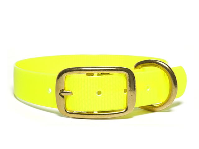 Biothane_collar_deluxe_brass_light_yellow_gold_small_web