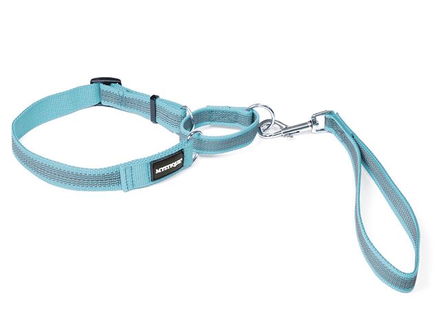 Rubbered_agility_leash_light_blue_small_web
