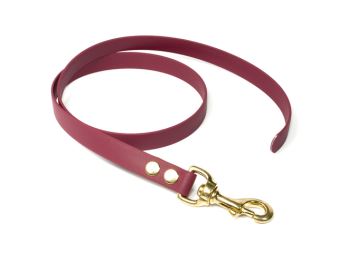 Biothane_leash_19mm_solid_brass_winered_small_web (1)