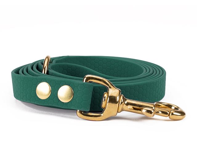 Hexa_leash_16_19mm_brass_riveted_green_small_web