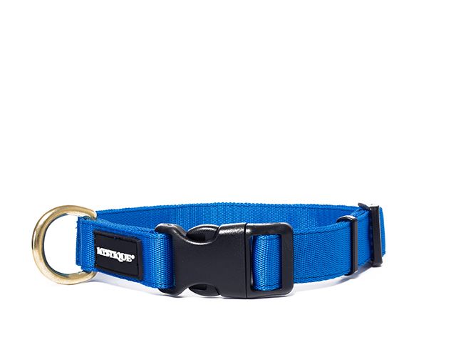 Nylon collar profi 25mm solid brass blue
