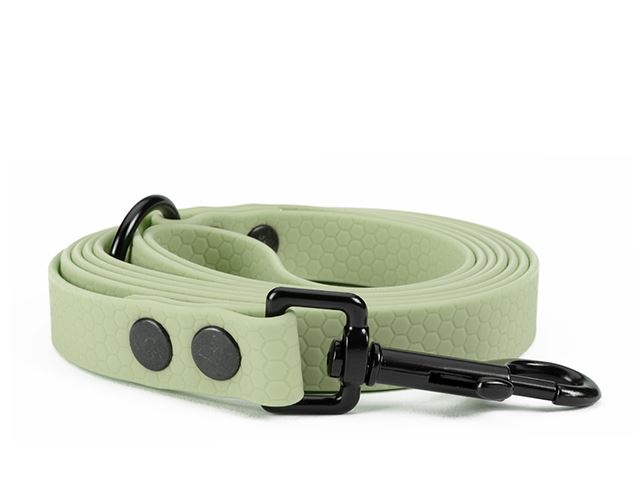 Hexa_leash_16_19mm_mint_green_riveted_black_snap_hook_small_web