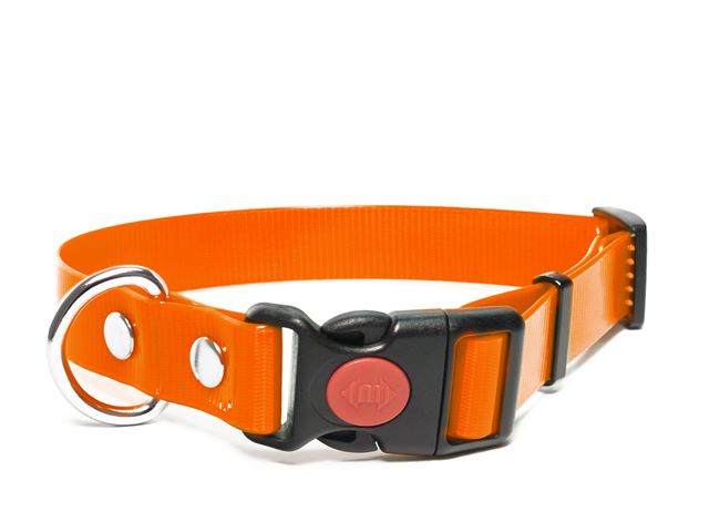 Biothane_collar_safety_click_gold_orange_small_web
