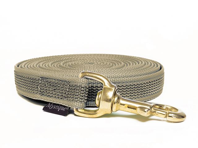 Rubbered_tracking_leash_20mm_brass_beige_small_web