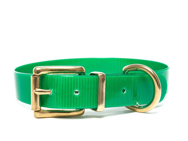 Biothane_collar_classic_brass_green_gold_small_web