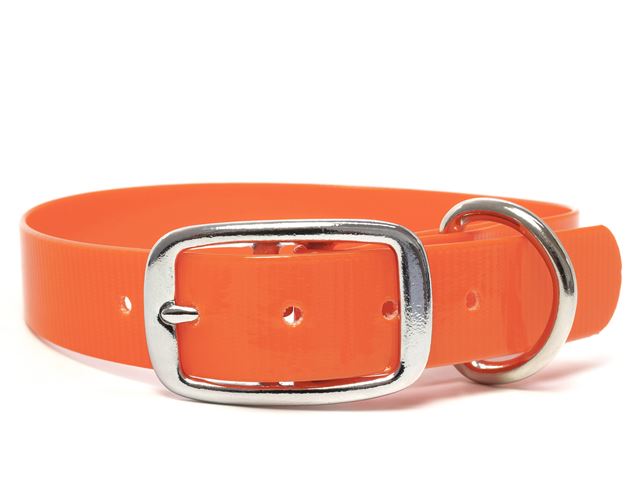 Biothane_collar_deluxe_orangei_gold_small_web