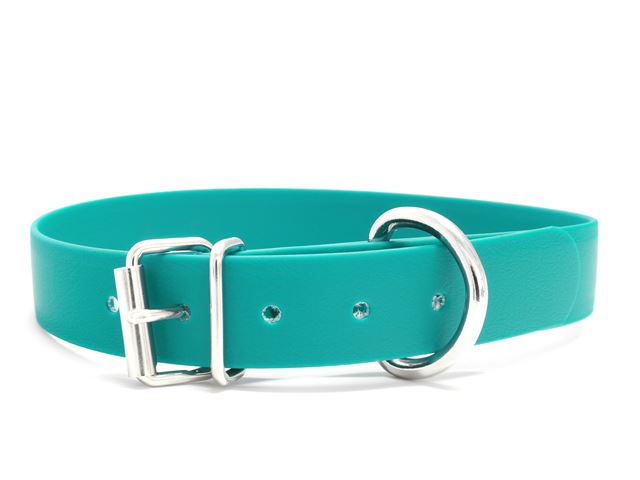 Biothane_collar_classic_lightl_green_small_web