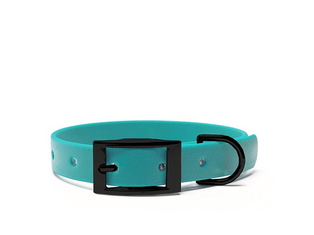 Biothane_collar_25mm_black_deluxe_light_green_big_web