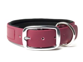 Biothane_collar_deluxe_neopren_winered_small_web (94)