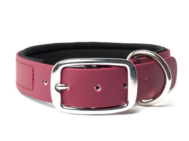 Biothane_collar_deluxe_neopren_winered_small_web
