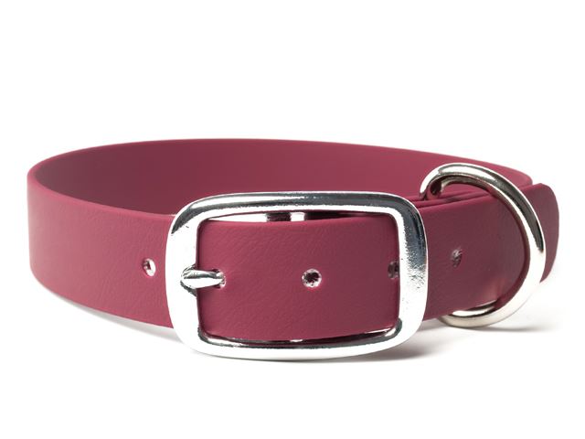 Biothane_collar_deluxe_winered_small_web