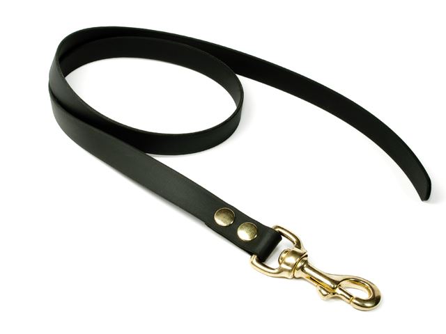 Biothane_leash_19mm_solid_brass_black_small_web