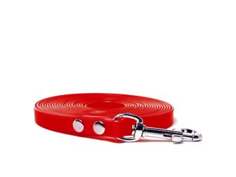 Mystique® Biothane tracking leash red gold