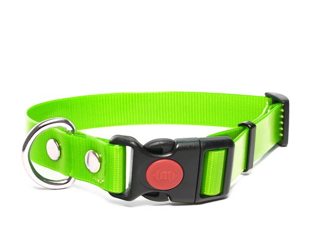 Biothane_collar_safety_click_gold_light_green_small_web