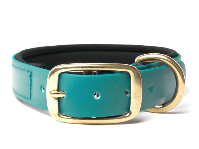 Biothane_collar_deluxe_brass_neopren_light_green_small_web