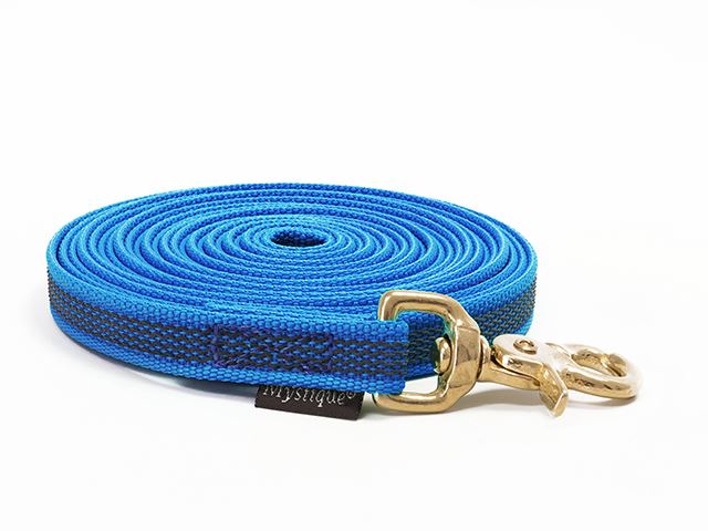 Rubbered_tracking_leash_15mm_brass_trigger_blue_big_web