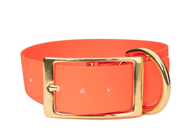 Biothane_deluxe_collar_38mm_neon_orange_brass_small_web