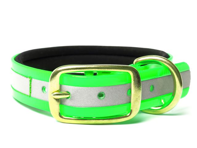 Biothane_collar_deluxe_brass_neopren_gold_reflective_green_small_web