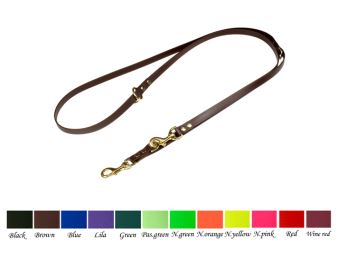 Biothane_adjustable_leash_solid_brass_master_small_web (1)