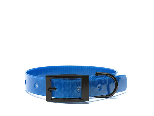 Biothane_collar_black_deluxe_gold_light_blue_small_web