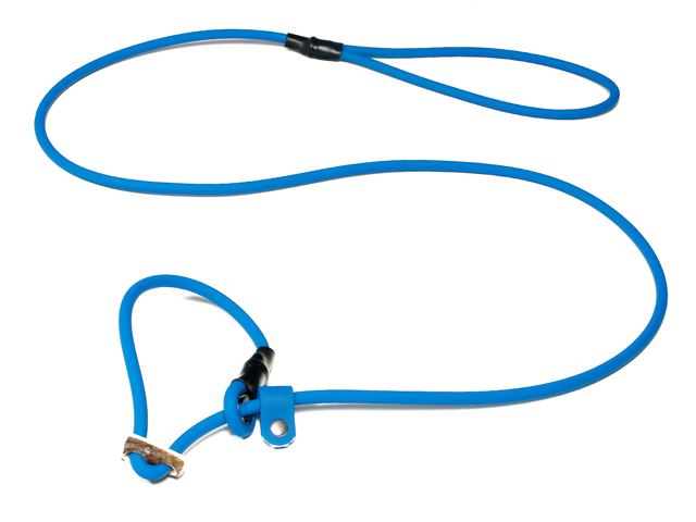 Biothane_FT_moxon_leash_with_hornstop_light_blue_small_web