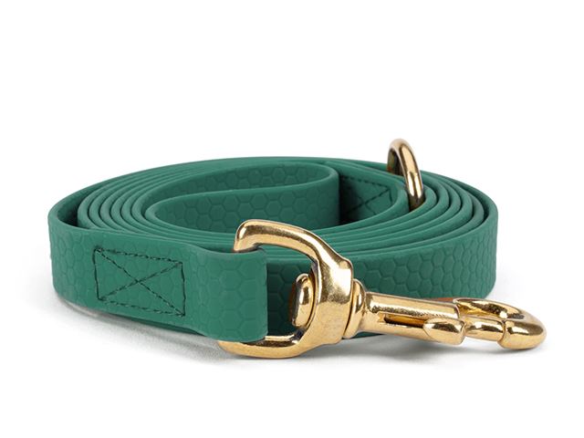Hexa_leash_16_19mm_sewn_solid_brass_green_small_web